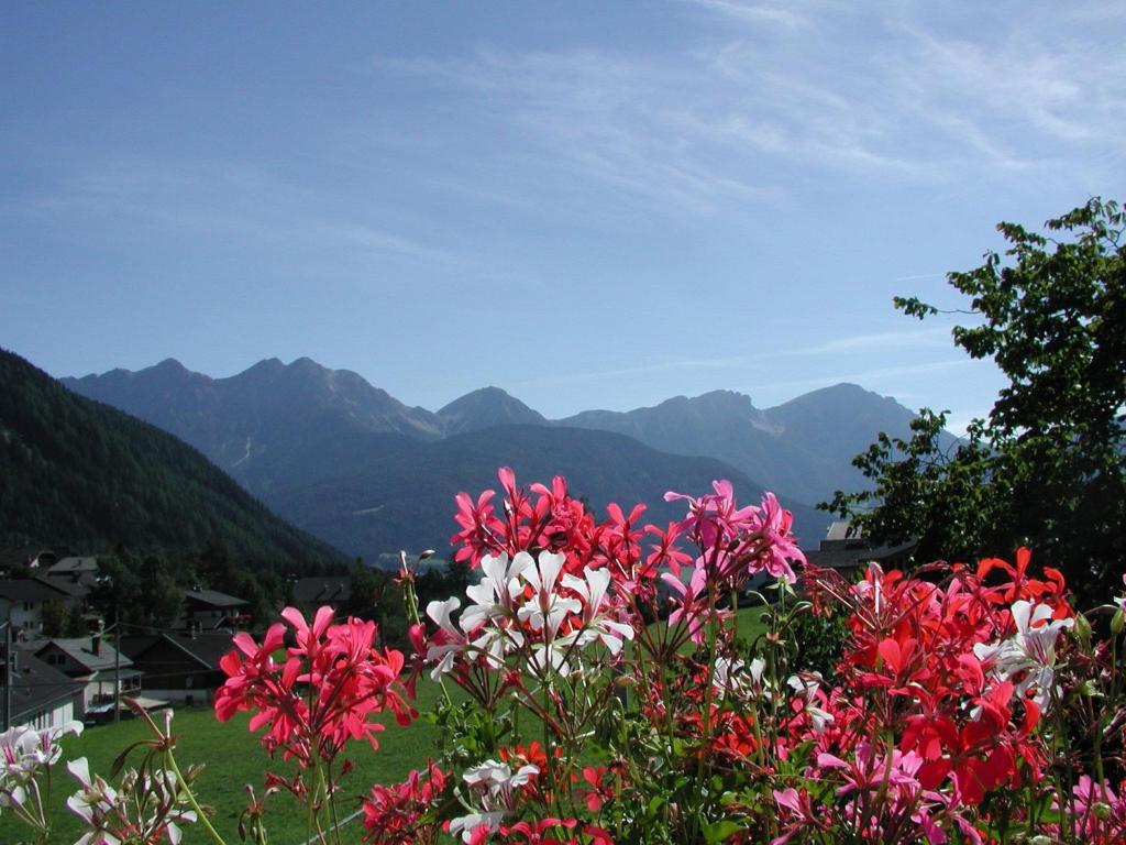 Gasthof Lechner Rasun di Sopra Værelse billede